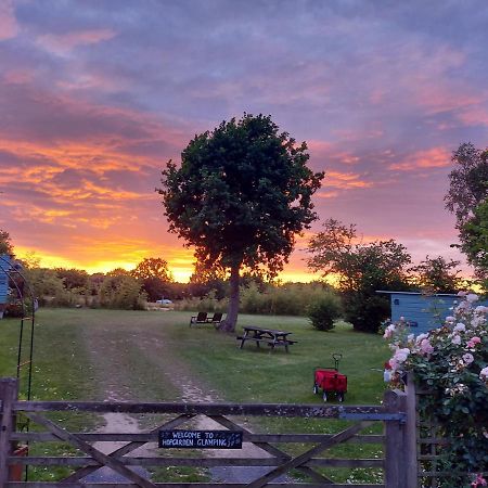 Hopgarden Glamping Luxury Shepherds Huts Wadhurst 외부 사진