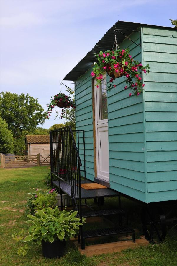 Hopgarden Glamping Luxury Shepherds Huts Wadhurst 외부 사진