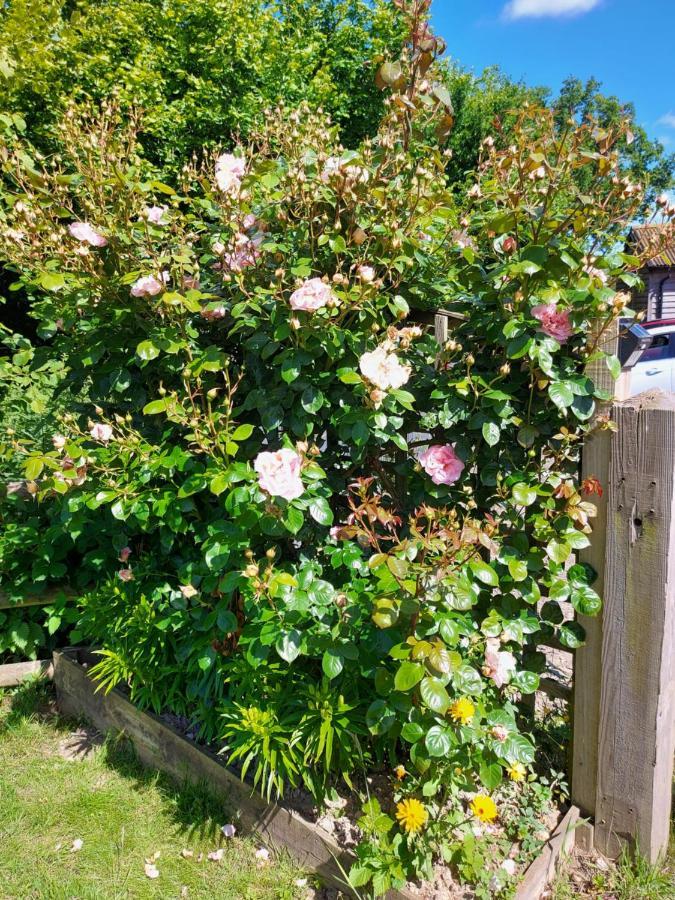 Hopgarden Glamping Luxury Shepherds Huts Wadhurst 외부 사진