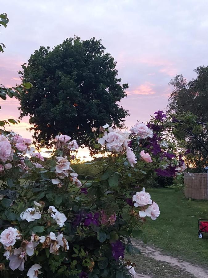 Hopgarden Glamping Luxury Shepherds Huts Wadhurst 외부 사진